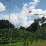 View of the QTH with some of our antennas